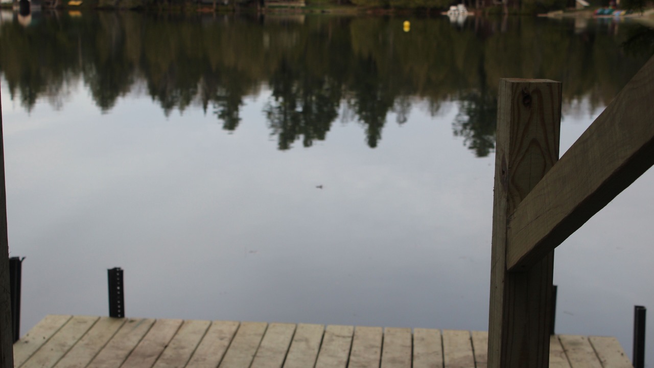 Photo of Others in Craftsbury Common