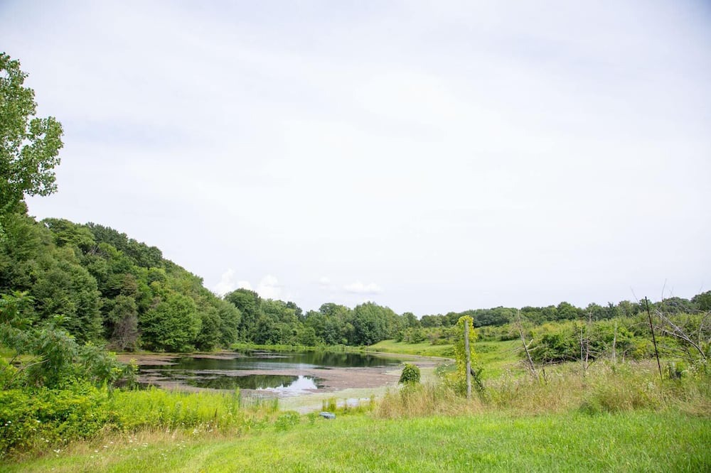 Photo of Others in Town of Marbletown