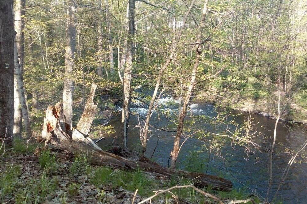 Photo of Others in Stanfordville