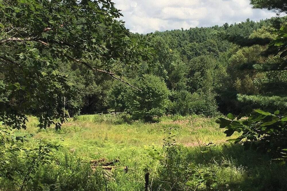 Photo of Others in Hollowville