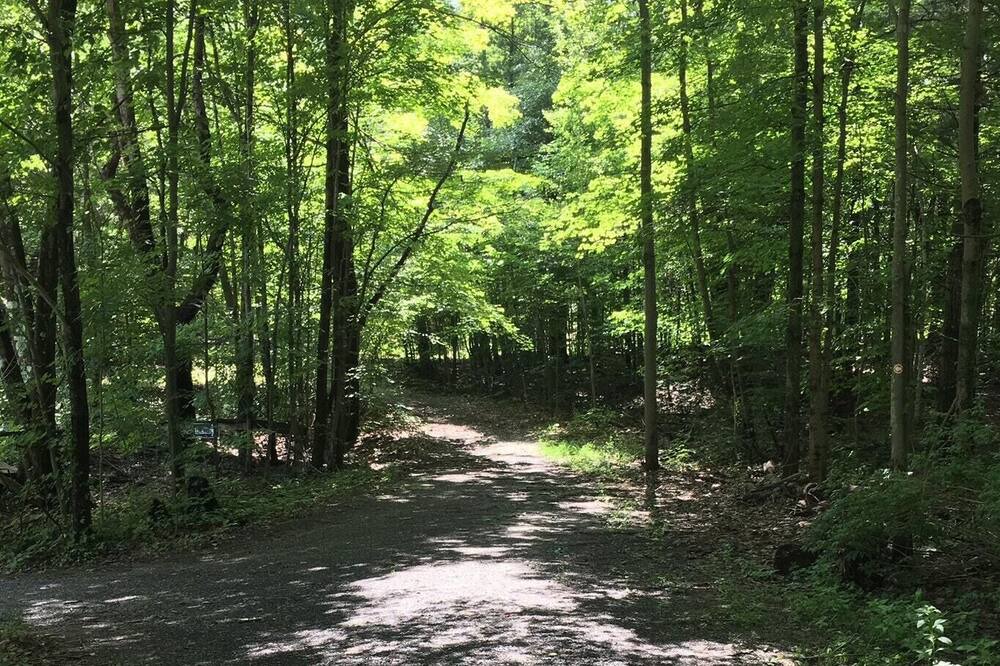 Photo of Others in Hollowville