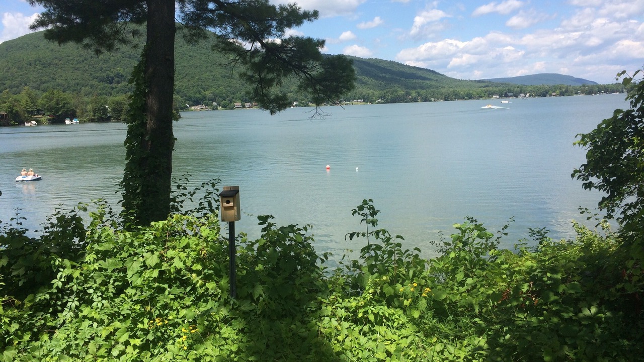 Photo of Others in Ticonderoga