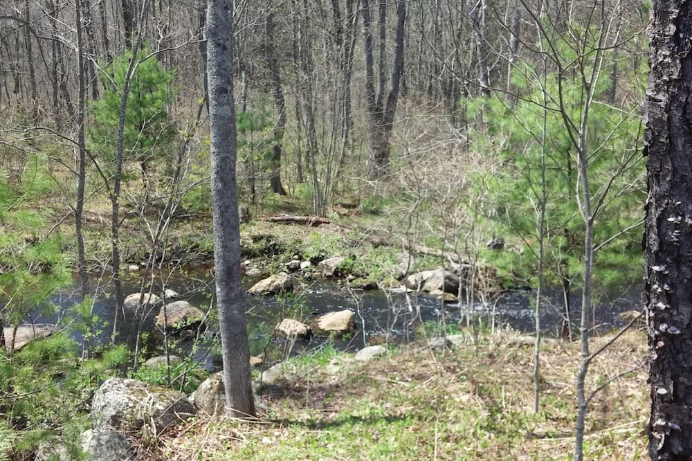 Photo of Others in Barnstead
