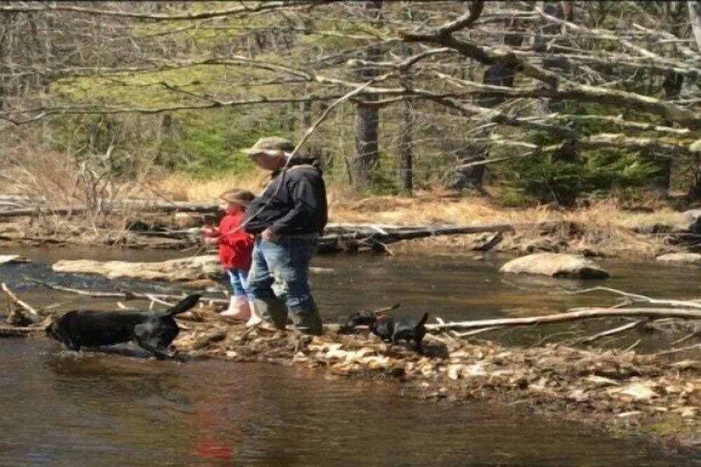 Photo of Others in Barnstead