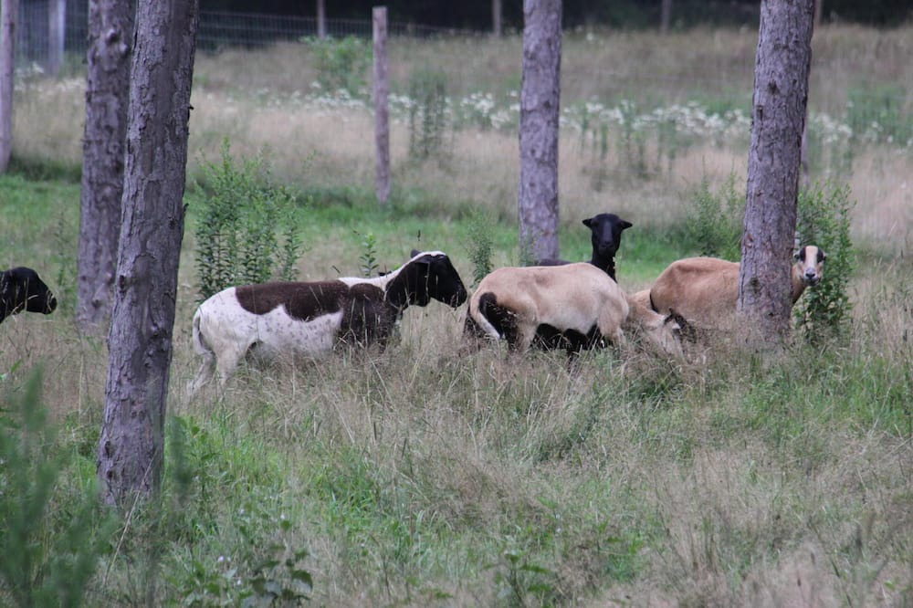 Photo of Others in Brewster