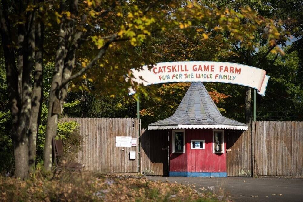 Photo of Others in Catskill