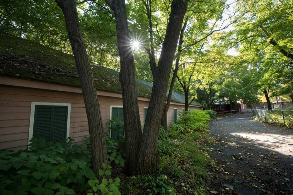 Photo of Others in Catskill