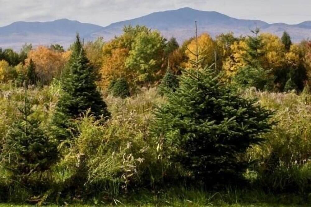 Photo of Others in Eastern Vermont