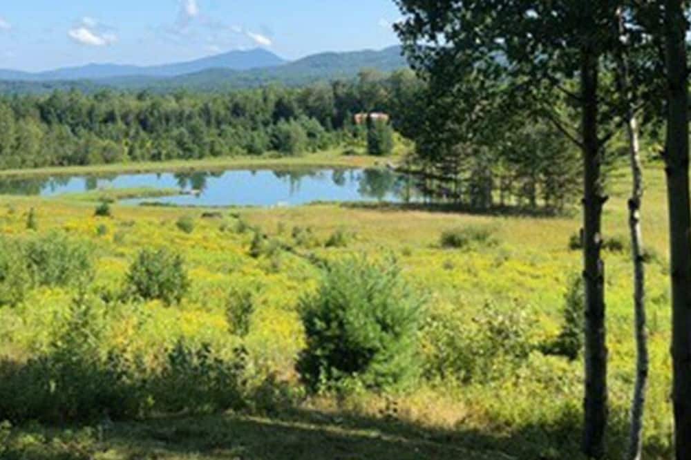 Photo of Others in Eastern Vermont