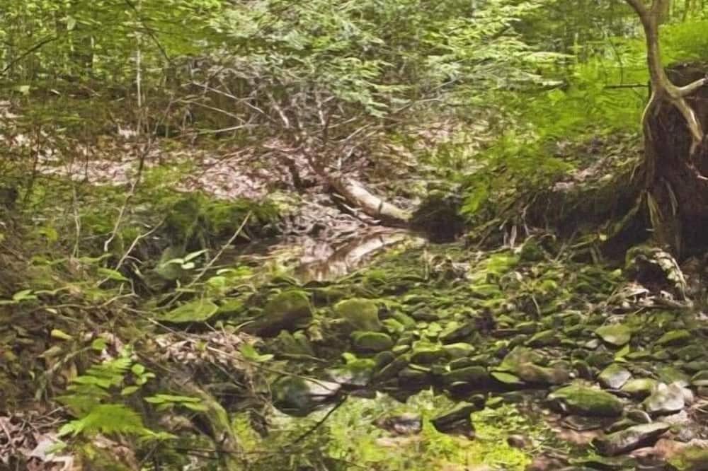 Photo of Others in Livingston Manor
