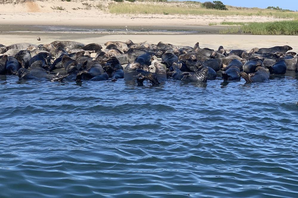 Photo of Others in West Yarmouth