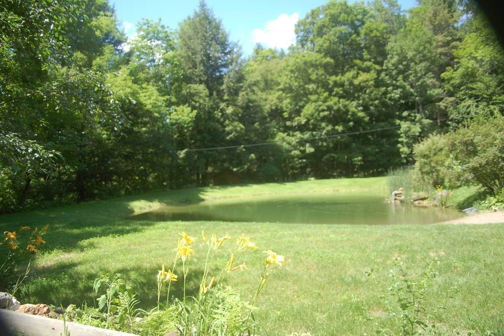 Photo of Outdoor in Woodstock