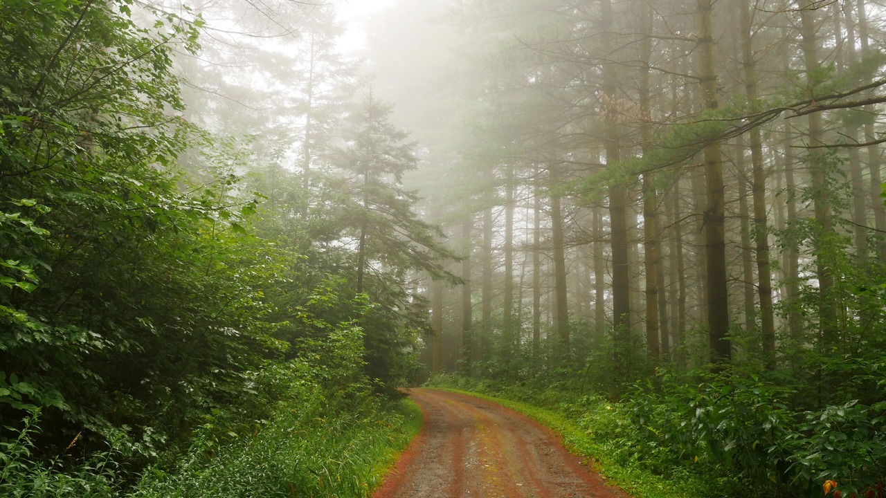 Photo of Outdoor in Eastern Vermont