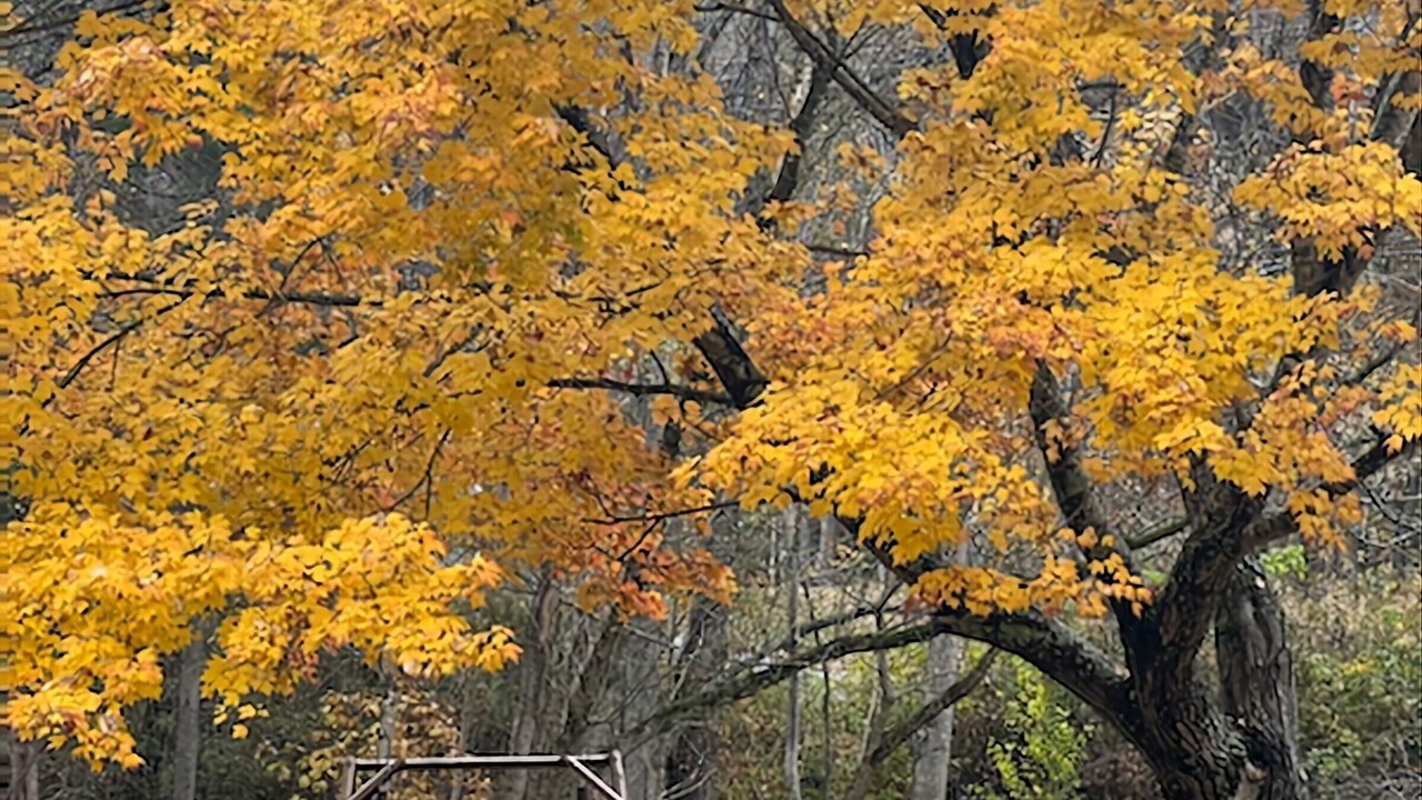 Photo of Outdoor in Bellepoint