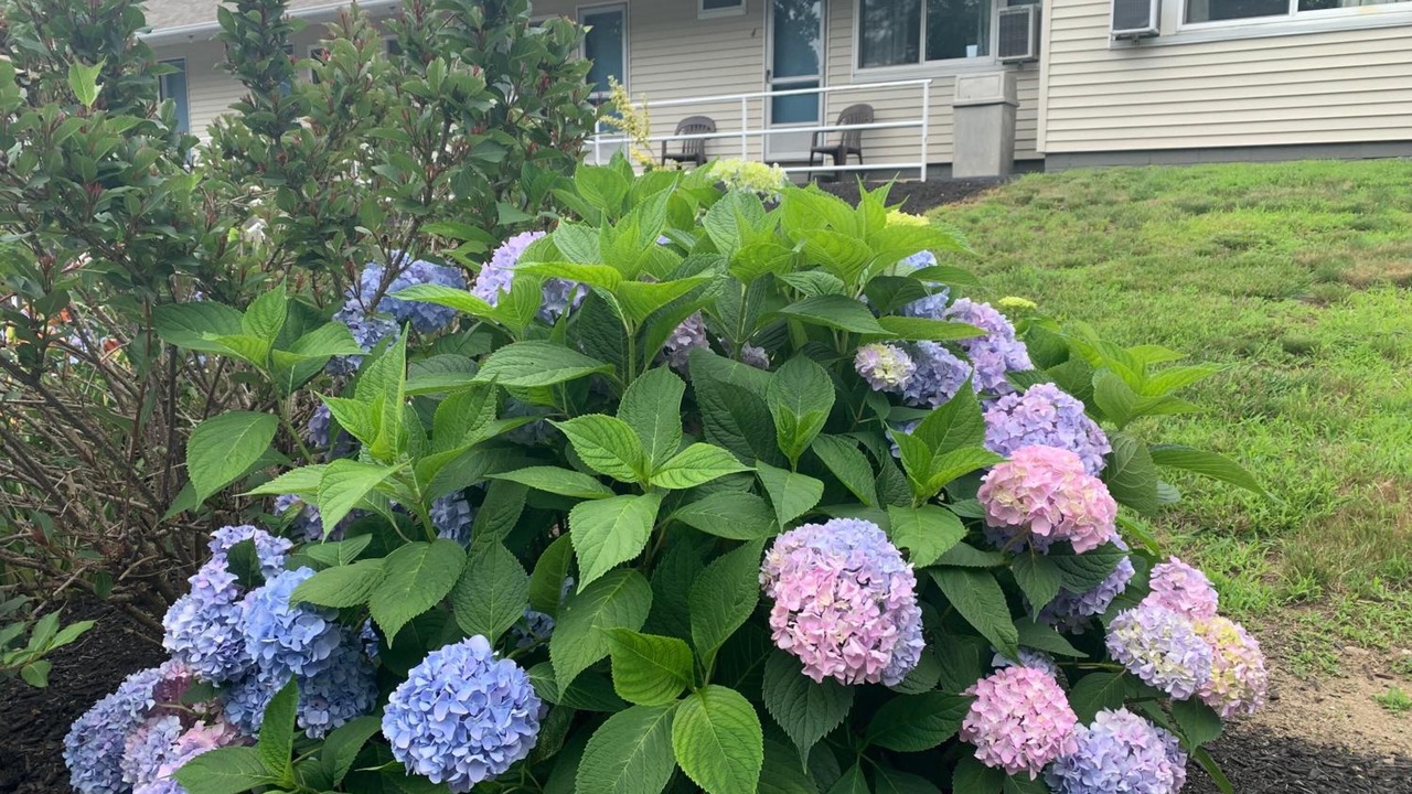 Photo of Outdoor in Kittery