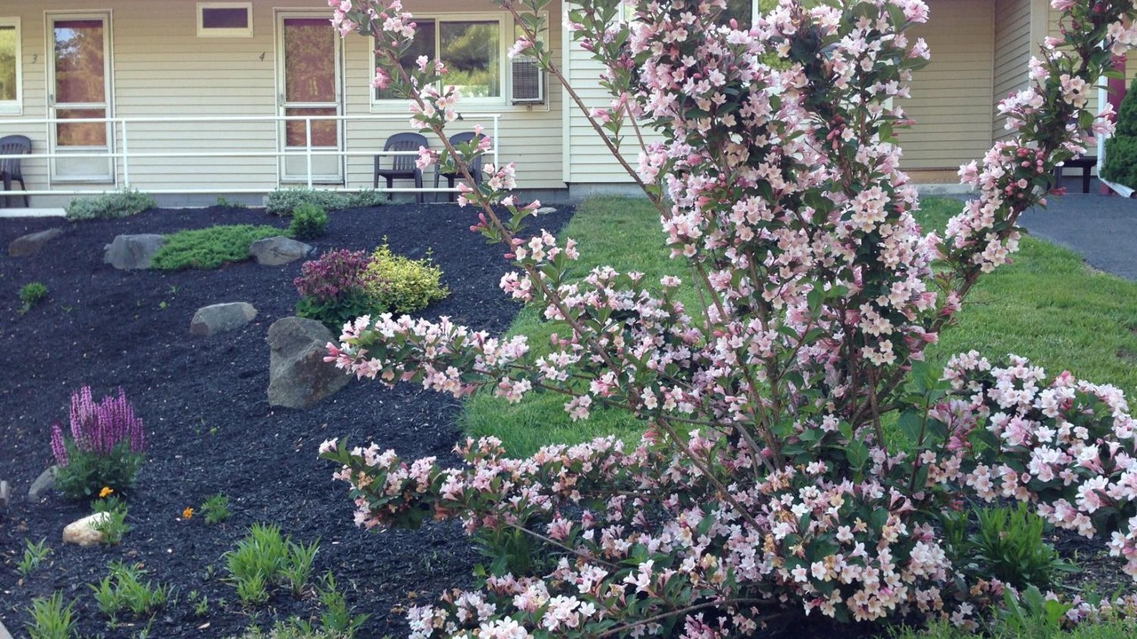 Photo of Outdoor in Kittery