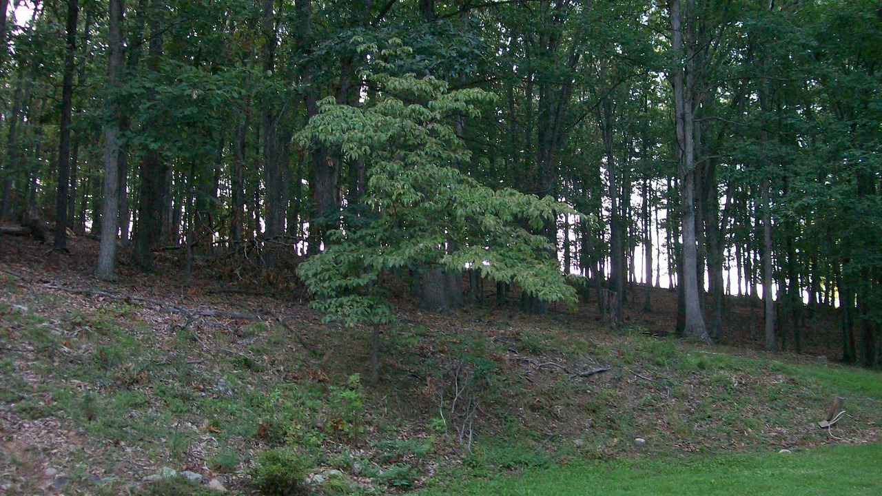Photo of Patio Balcony in Upper Tract