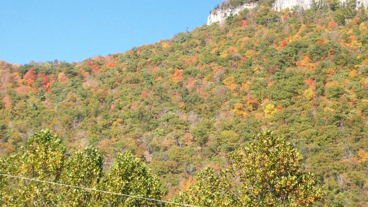 Photo of Outdoor in Upper Tract