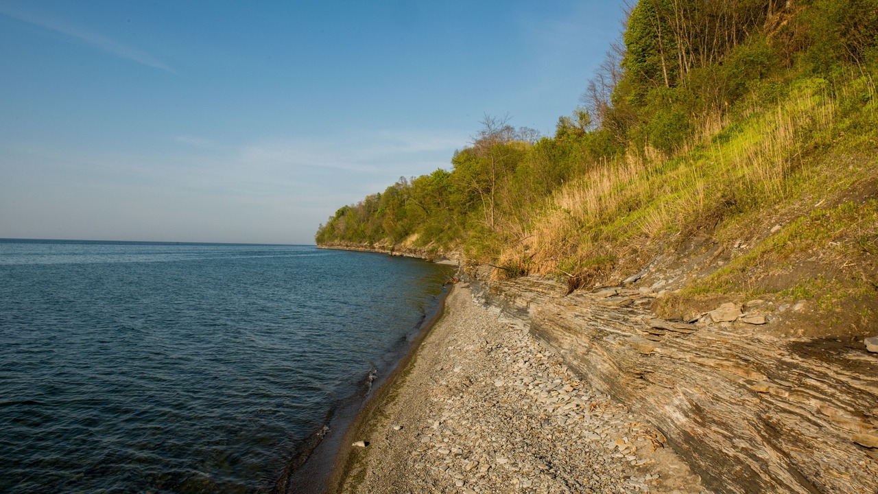 Photo of Others in Harborcreek