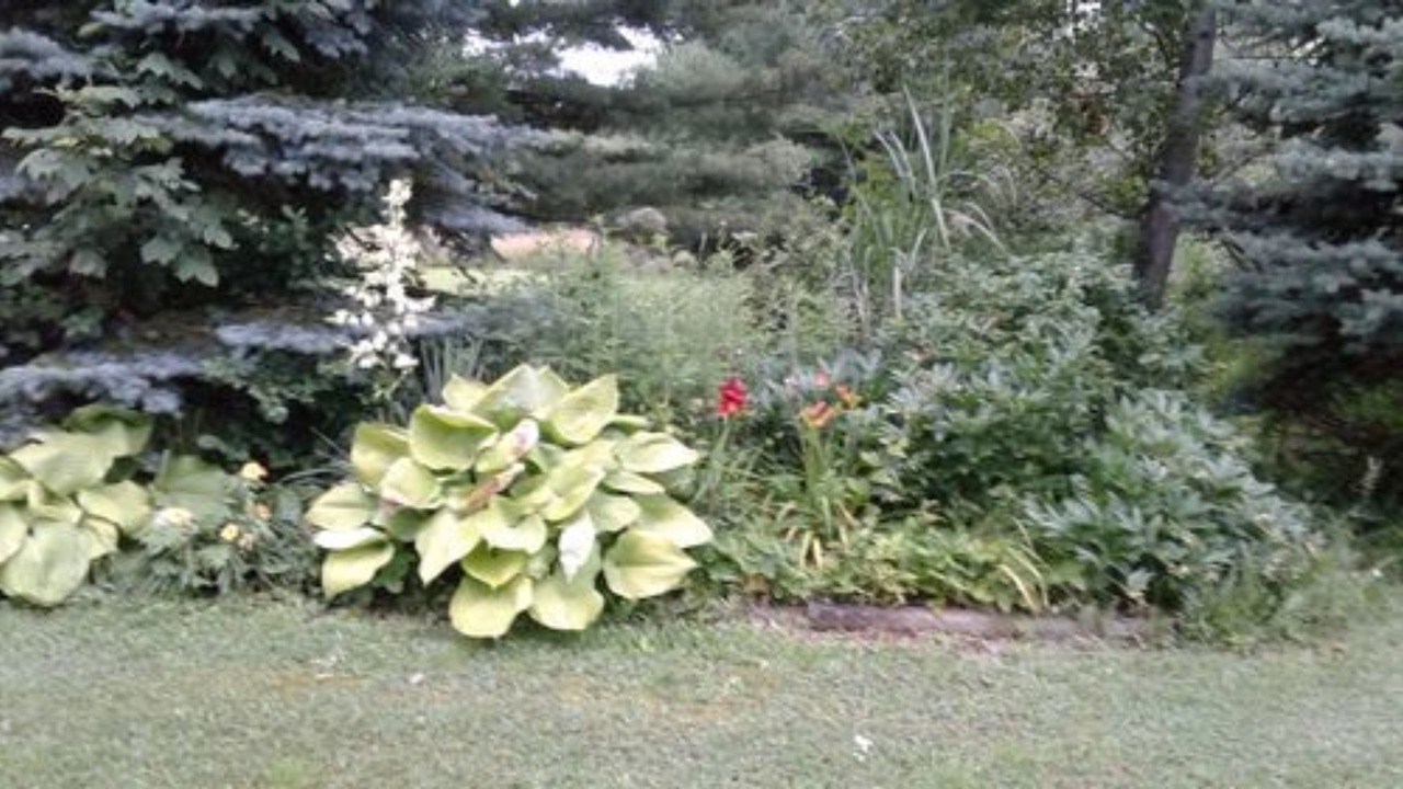 Photo of Outdoor in Rock Stream