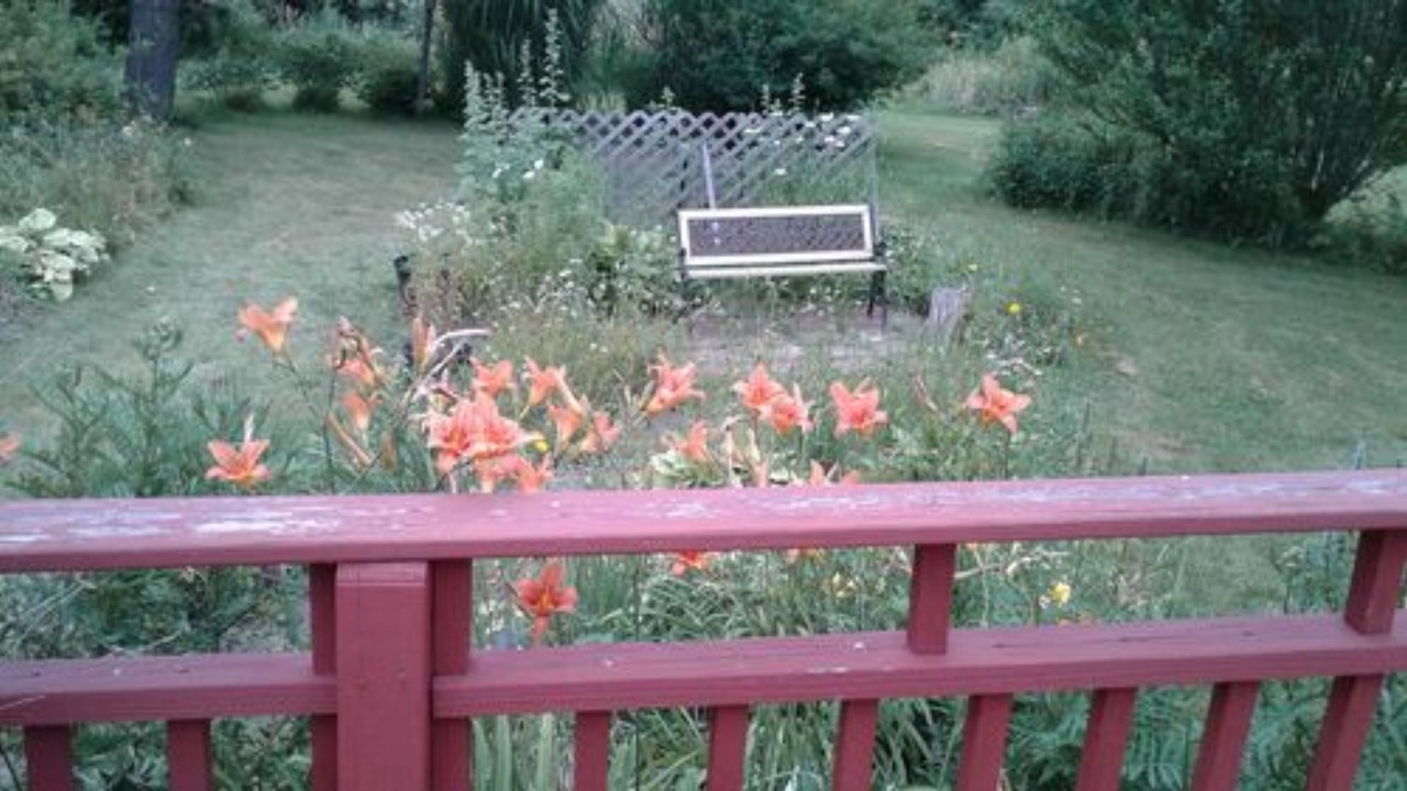 Photo of Outdoor in Rock Stream