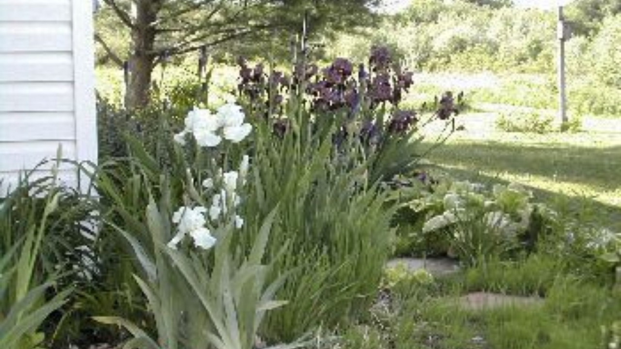 Photo of Outdoor in Rock Stream