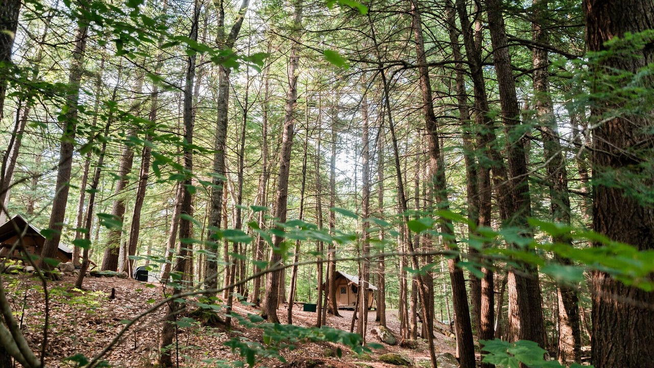 Photo of Outdoor in Conway
