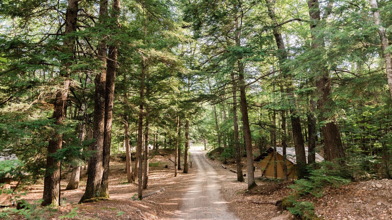 Photo of Outdoor in Conway