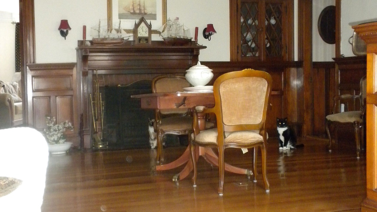 Photo of Livingroom in Concord