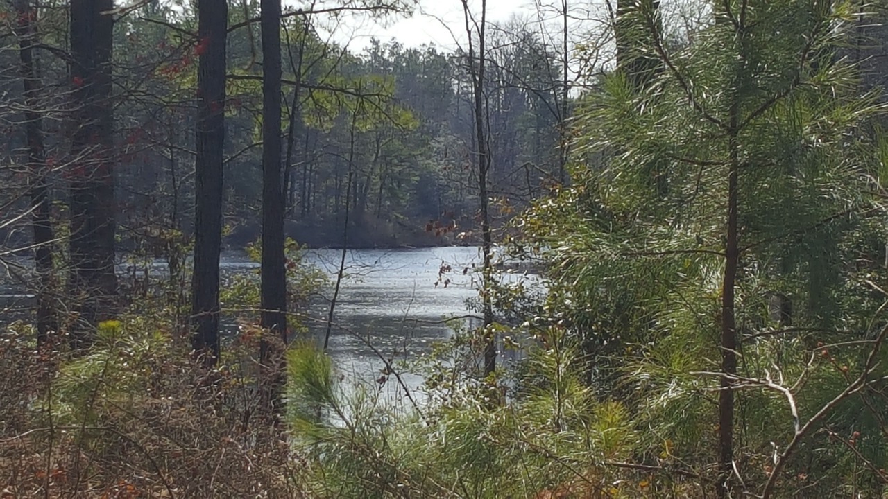 Photo of Outdoor in Caret