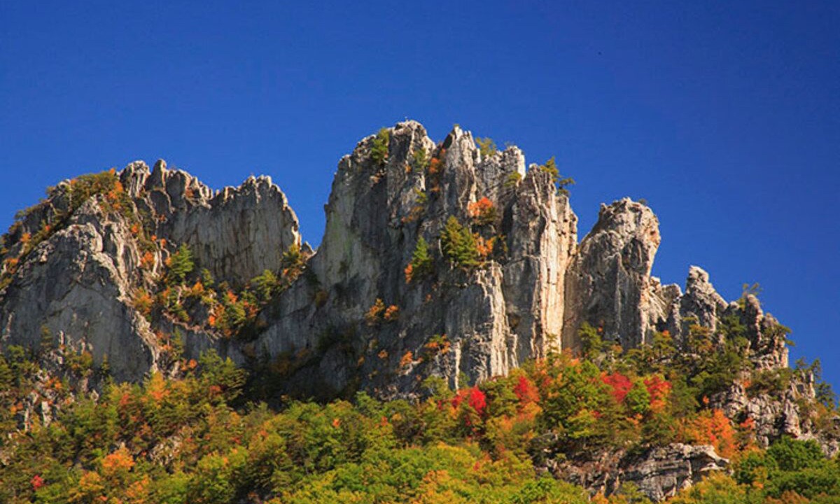 Photo of Others in Canaan Valley