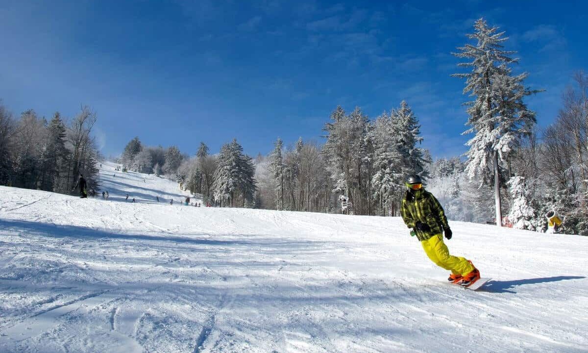 Photo of Others in Canaan Valley