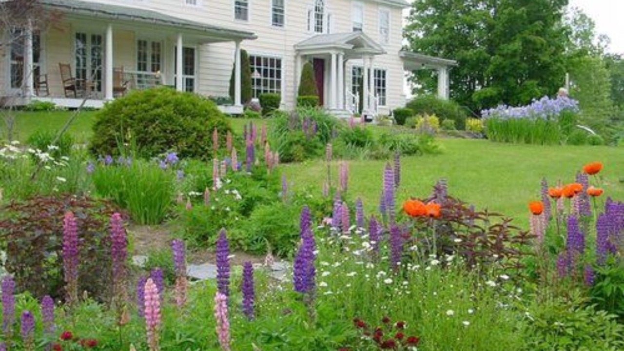 Photo of Outdoor in Cheshire