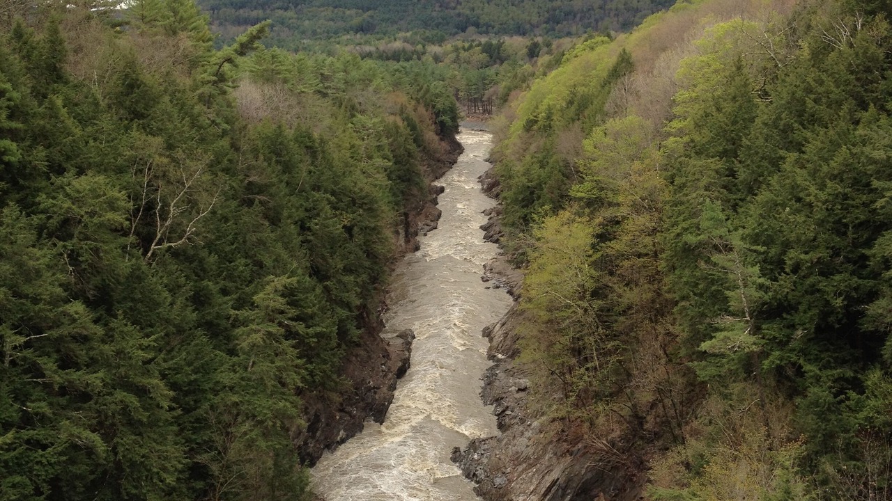 Photo of Outdoor in Proctorsville