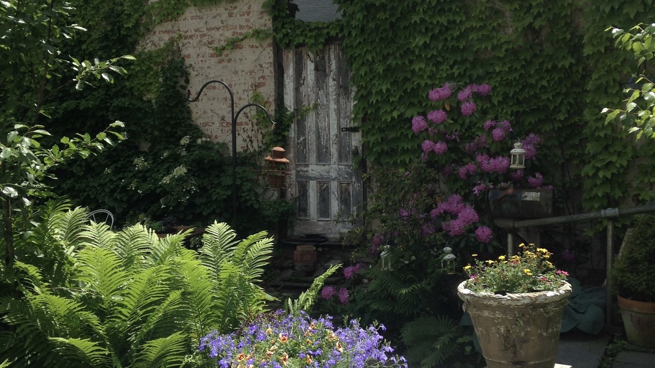 Photo of Outdoor in Kingston