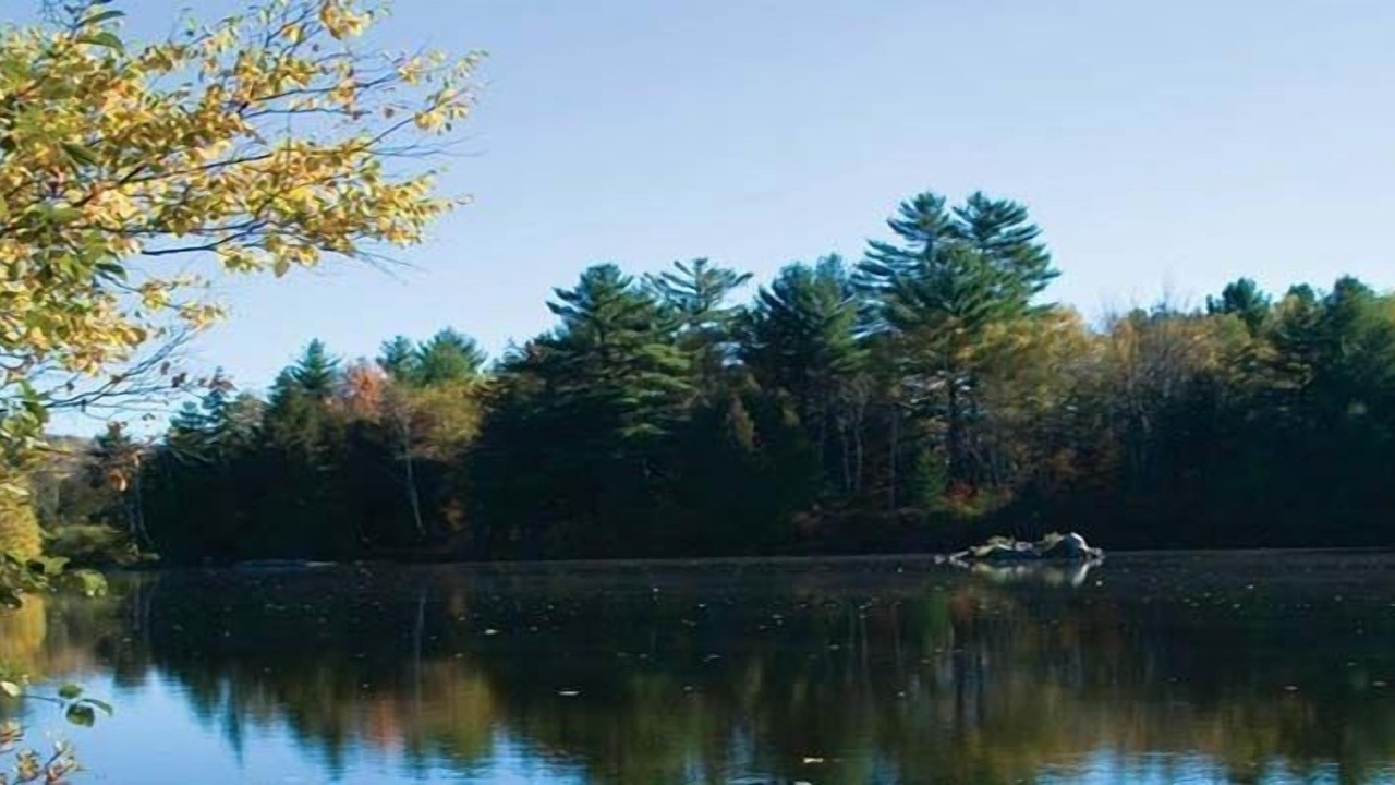 Photo of Outdoor in Dummer