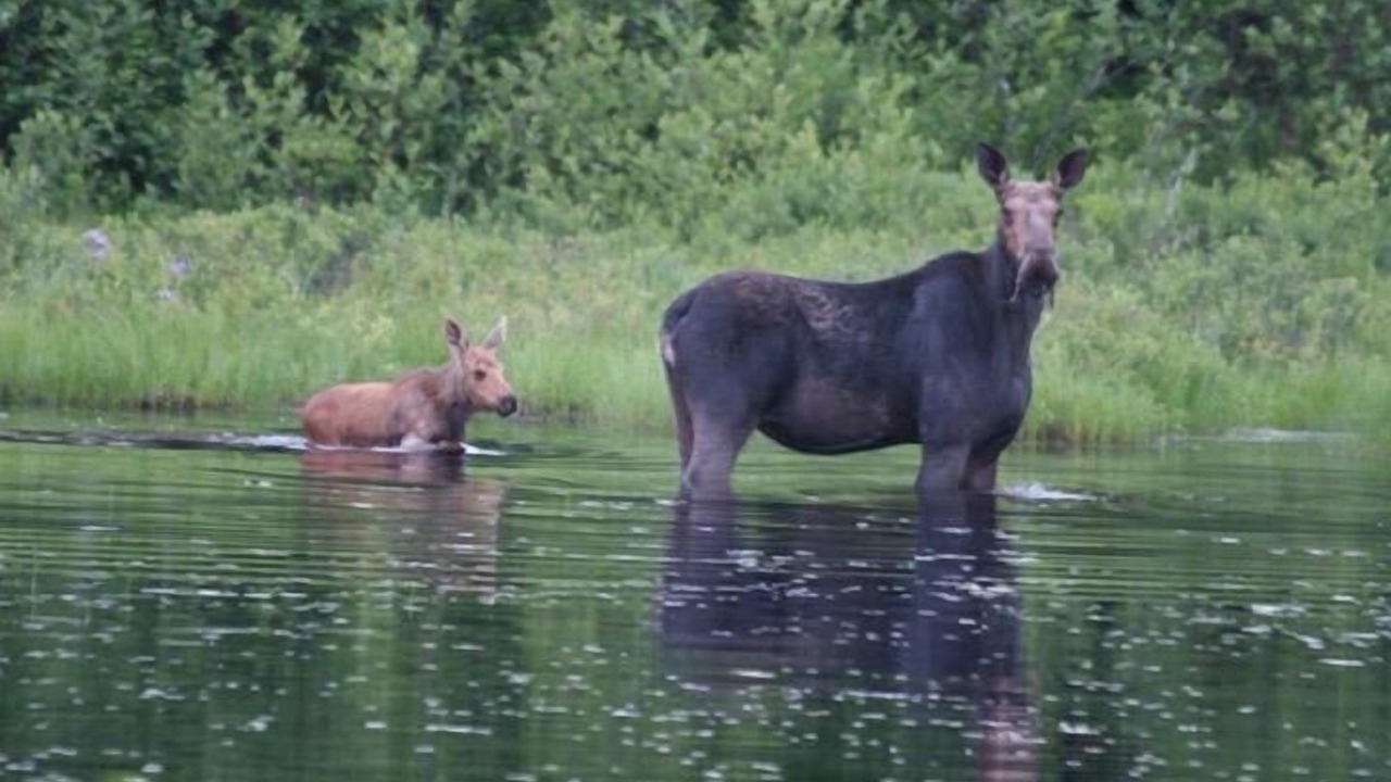 Photo of Outdoor in Dummer