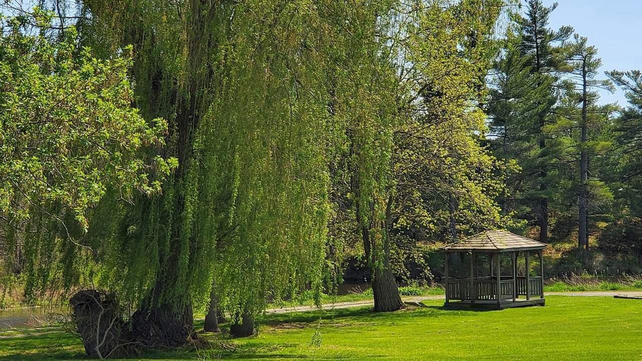 Photo of Outdoor in Alexandria Bay
