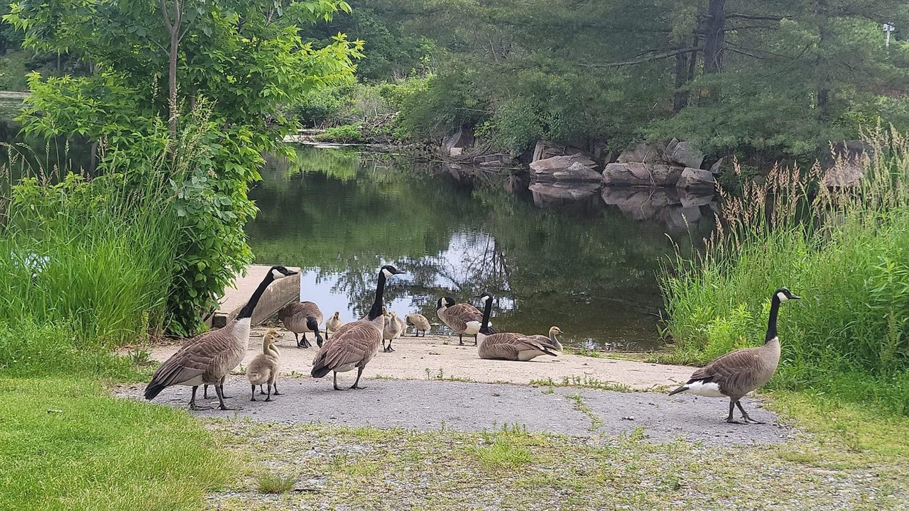 Photo of Outdoor in Alexandria Bay