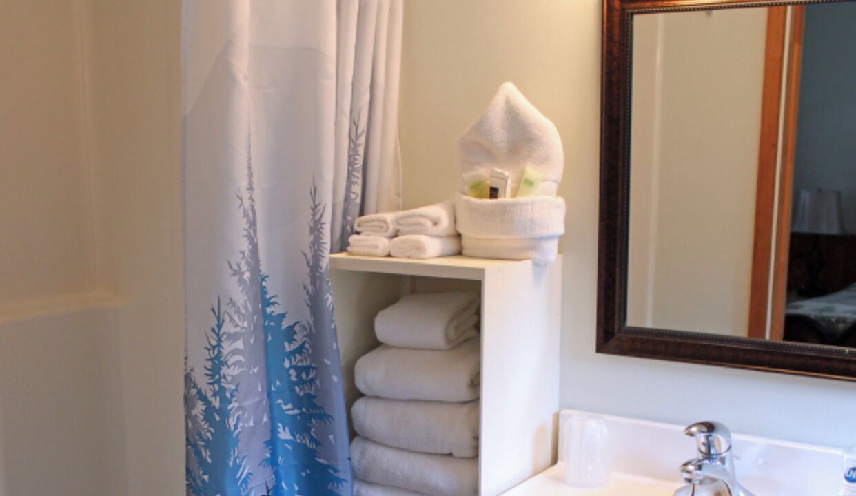 Photo of Bathroom in Lake Luzerne-Hadley