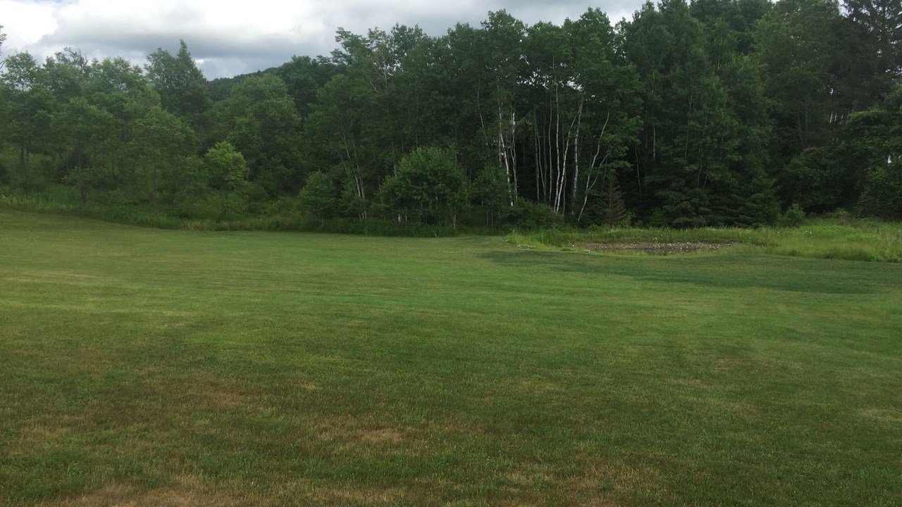 Photo of Outdoor in Fly Creek