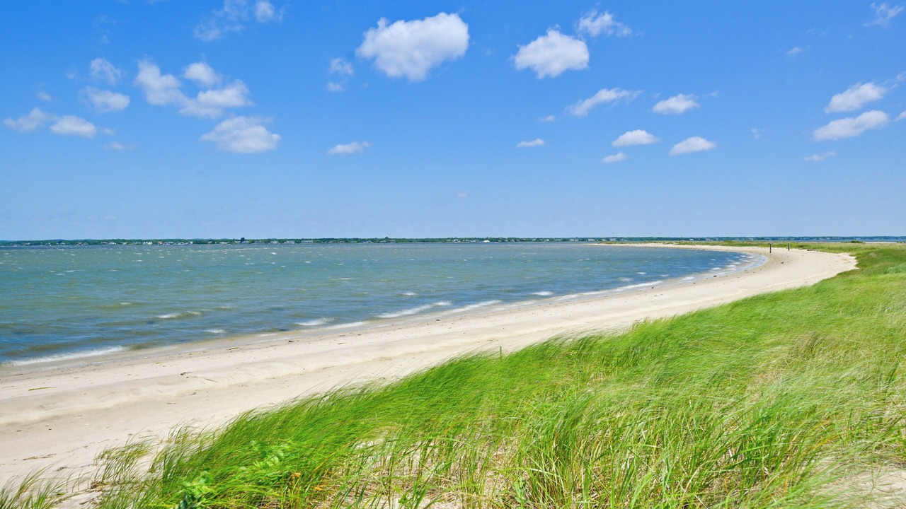 Photo of Others in Suffolk County