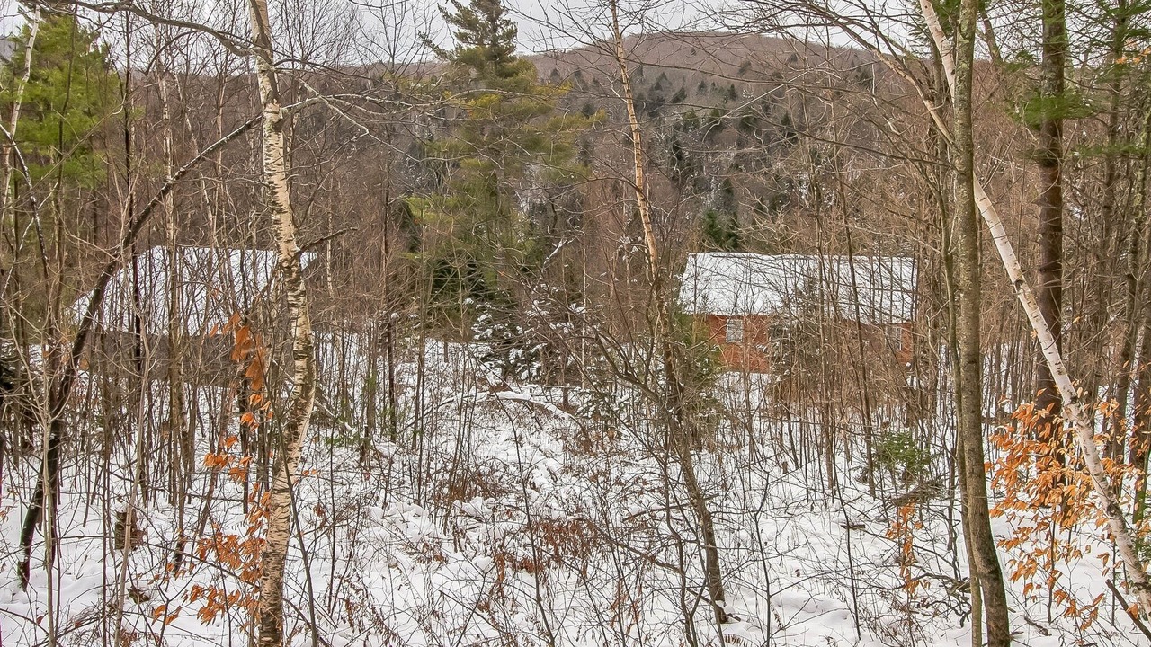 Photo of Others in Warren