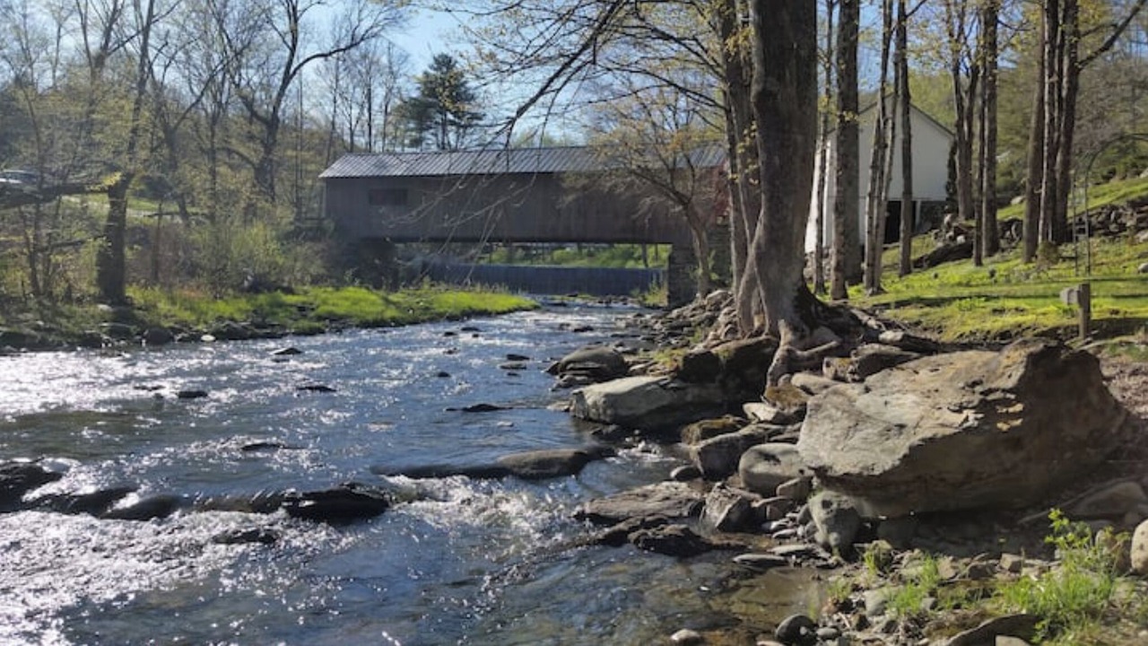Photo of Others in Guilford