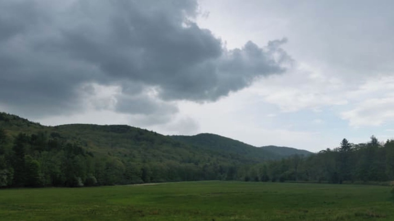 Photo of Others in Guilford