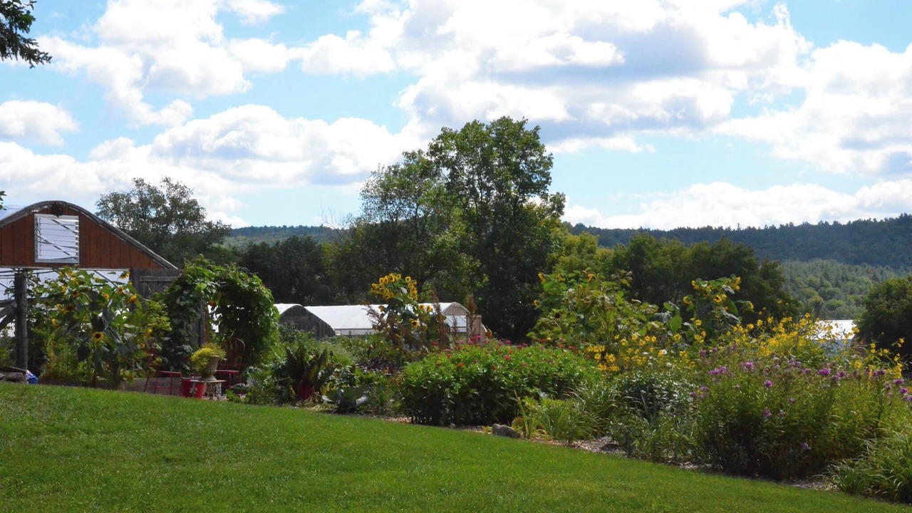Photo of Outdoor in Walpole