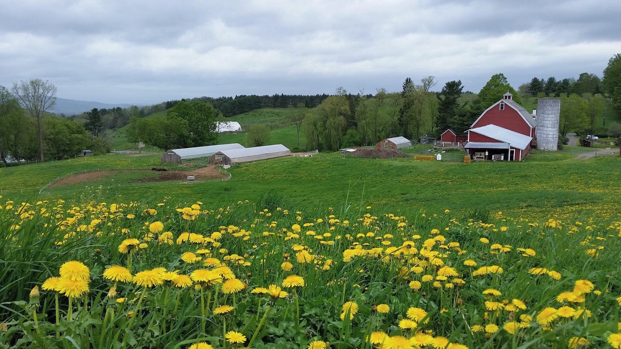 Photo of Outdoor in Walpole