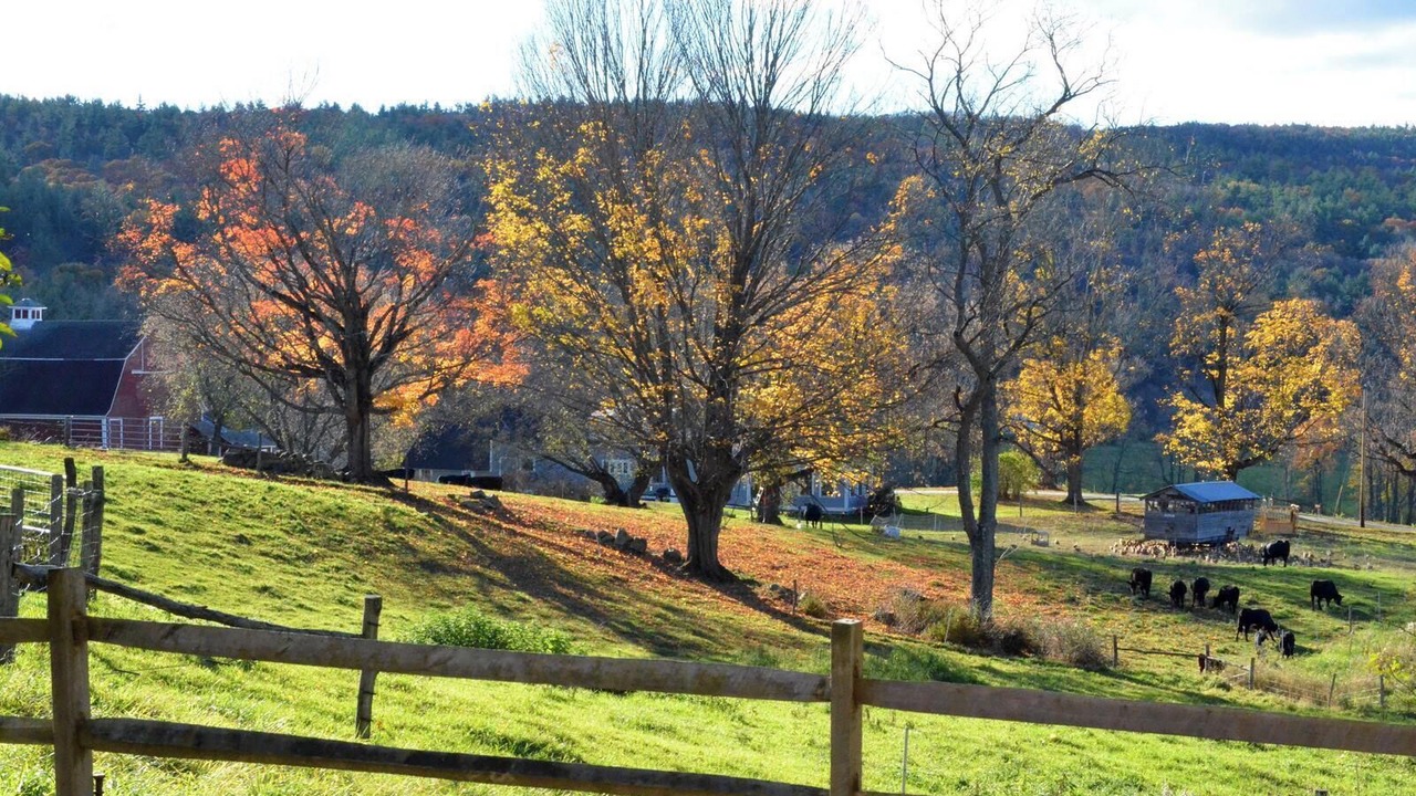 Photo of Outdoor in Walpole