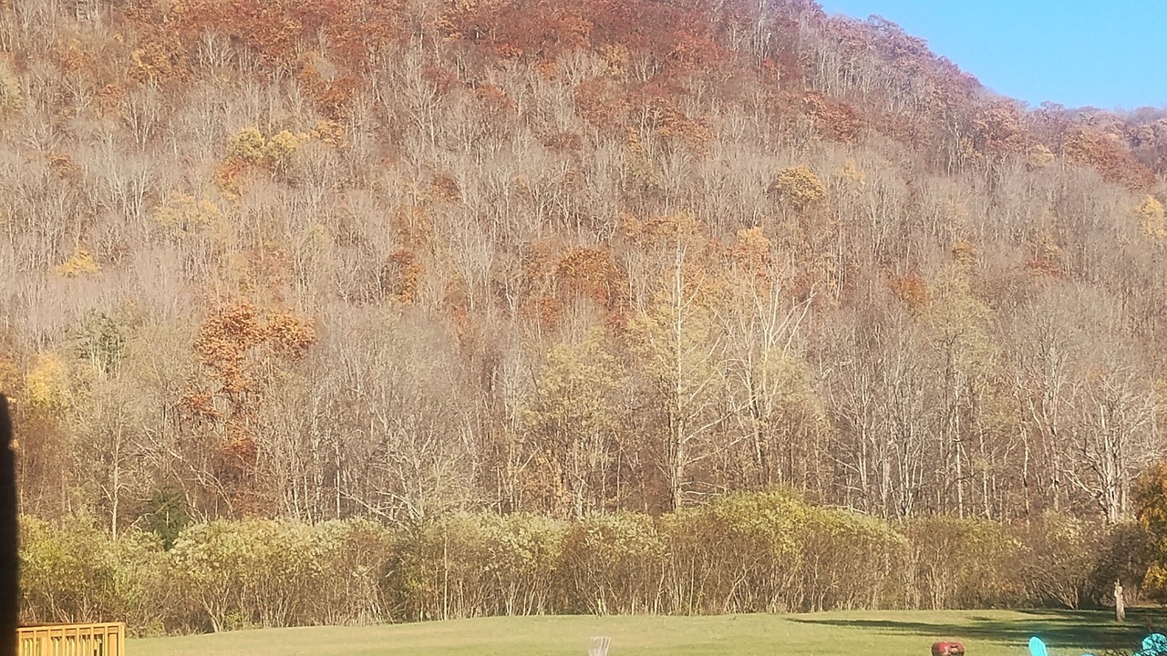 Photo of Outdoor in Big Indian