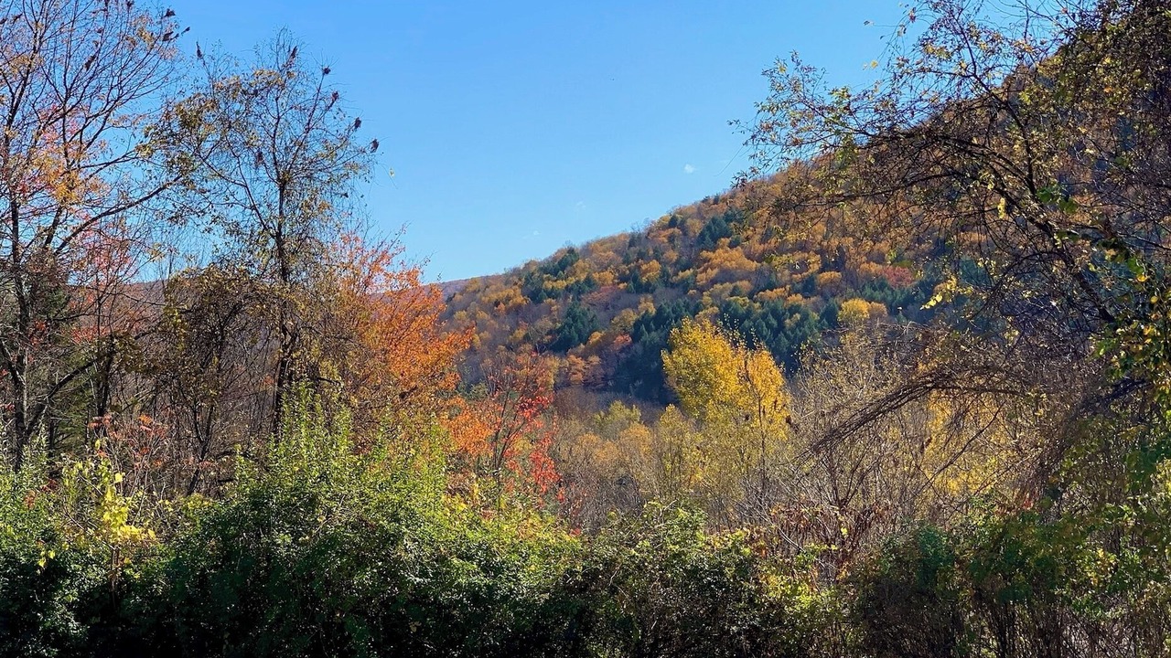 Photo of Outdoor in Hancock